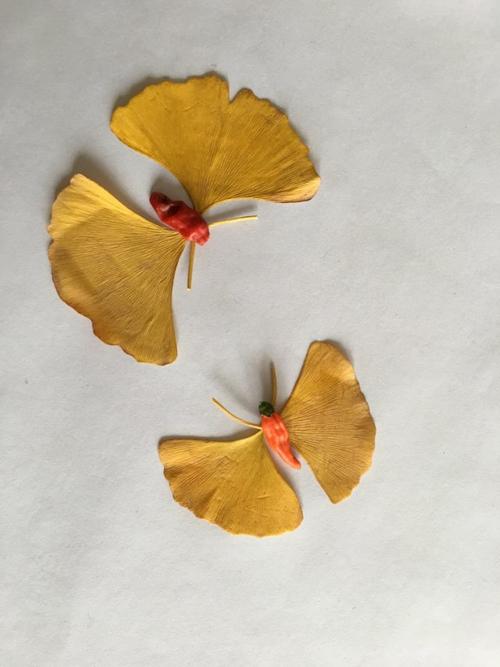 手工粘贴:蝶恋(银杏叶与朝天椒)