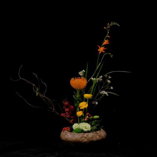 艺展菁才 | 南京农业大学第十五届 "二十载春花秋