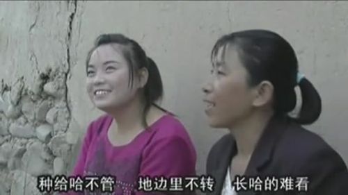          农村搞笑剧《懒汉胡汉三