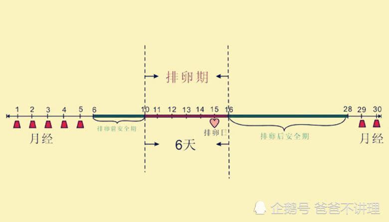 月经周期与怀孕有什么关系呢?月经过后什么时候适合怀孕?