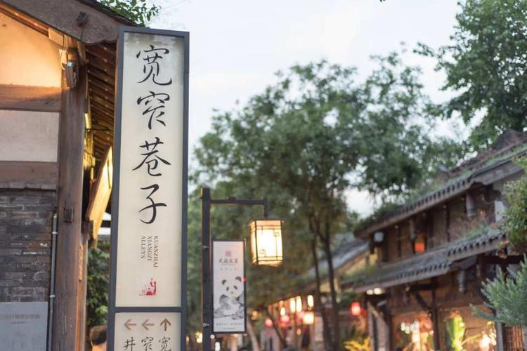 成都 宽窄巷子 琴台路 杜甫草堂 武侯祠 锦里半日游(品质团 包午餐