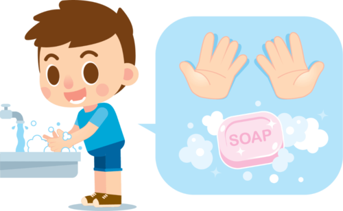 手是人体接触细菌最多的部位,如厕后洗手是十分必要的,可以使手保持