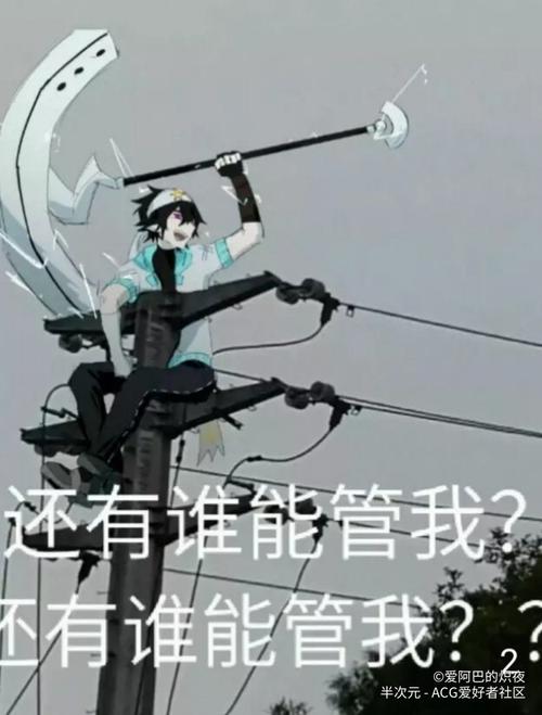 来自合集雷家儿女· 关注合集凹凸世界雷狮卡米尔雷卡故事漫画指绘