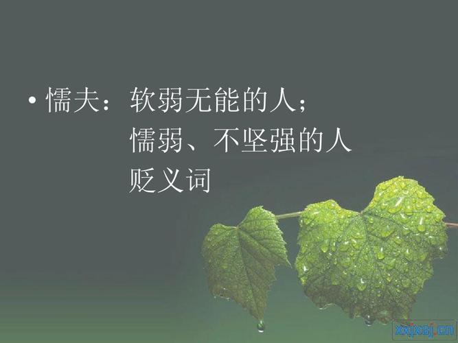 我不是懦夫 修改