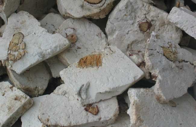 茯神的功效与作用