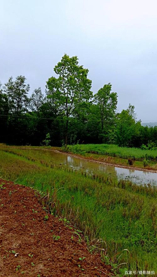 640_1132竖版 竖屏