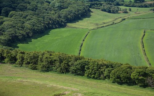 风景壁纸,唯美,护眼,高清,清新,壁纸,1280x1024