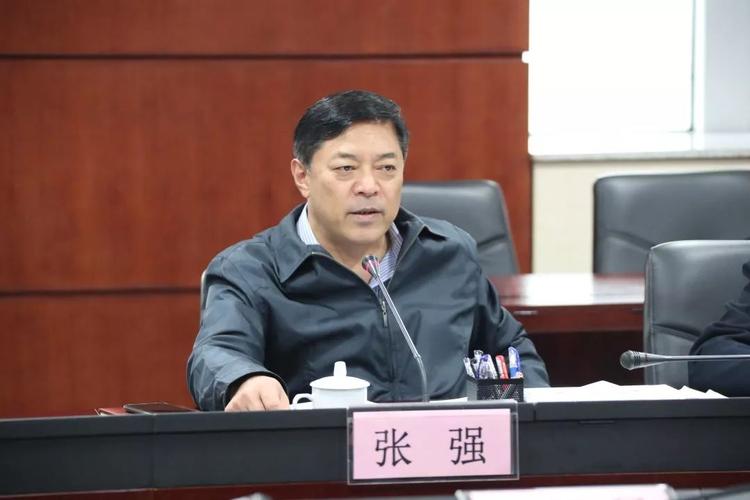 市委常委政法委书记张强调研全市法院工作