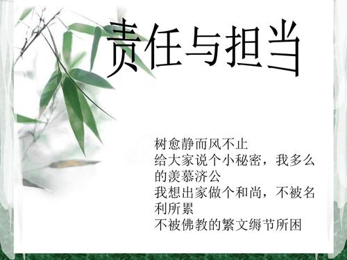 责任与担当-课件(ppt演示).ppt