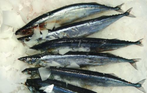 去菜市场买鱼时,看到这3种鱼可以多买点,没法养殖只有野生的