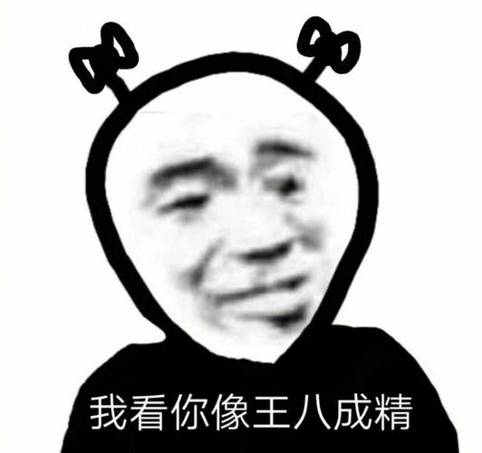 斗图表情包我宣布从此封心不爱