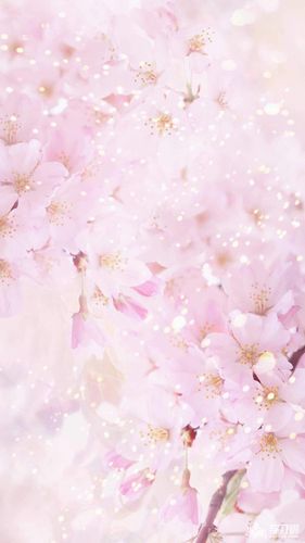 壁纸高清大图竖屏