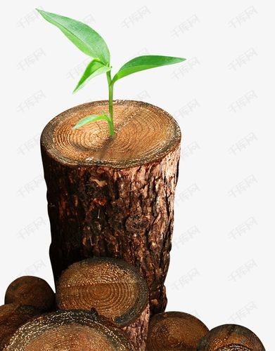 木桩的素材免抠木桩树桩小树叶