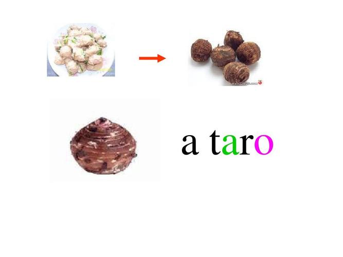 taro