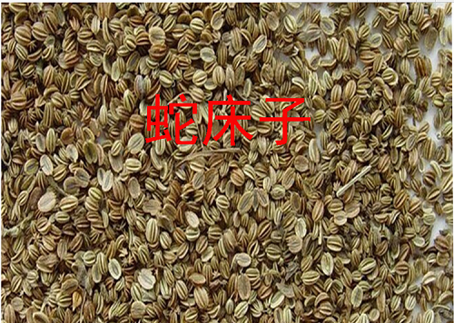 蛇床子相关药材的分辨