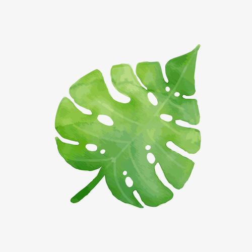 卡通叶子,绿色叶子,矢量图,背景装饰,手绘叶子,叶子植物