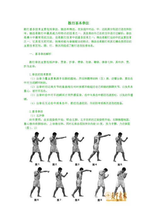 散打基本拳法.docx 3页