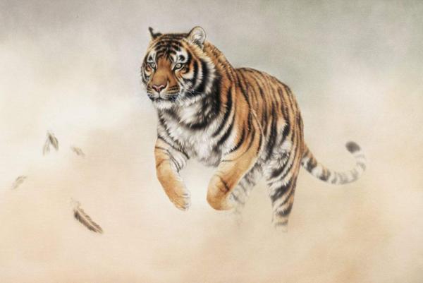 虎虎生威,这3个生肖要起飞了,准备好发财吧