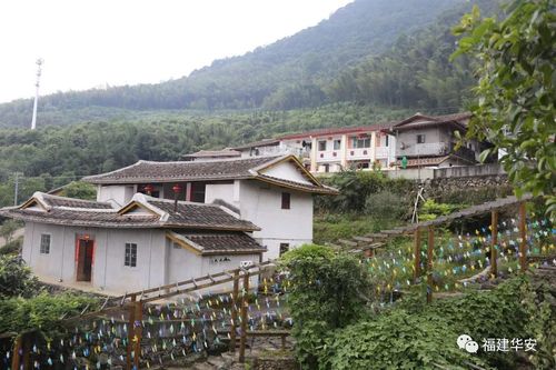 高石村,华安县,北溪,苏泰仪,村落