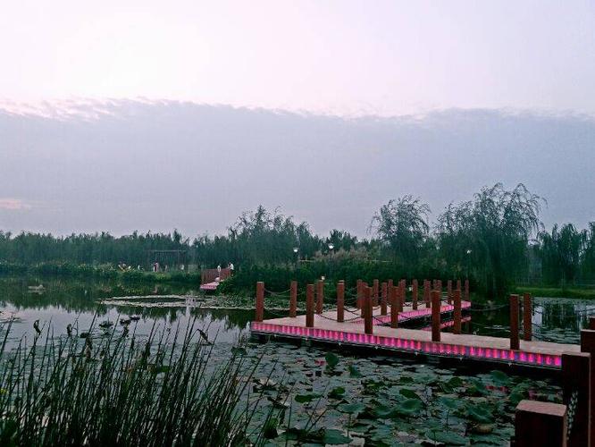 徒骇河湿地公园美景