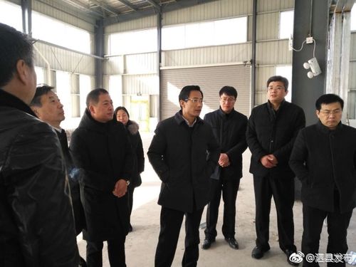 县委书记张志强到大路口乡调研"产业园区"建设发展情况
