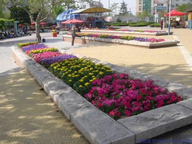 供应长沙草花,时令花卉租摆造型