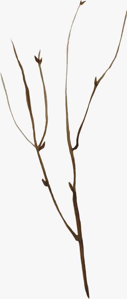 关键词 : 手绘画,树枝,植物,矢量图,装饰,矢量装饰