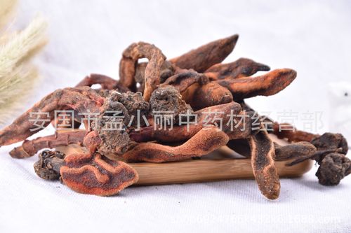 中药材 回春草 顶天柱 不老草 草苁蓉 蟛蜞菊 泡酒料