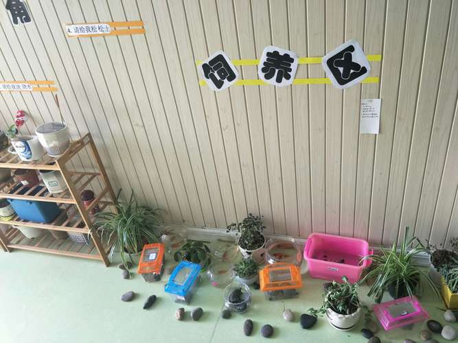 我们还有观察角和饲养区哦