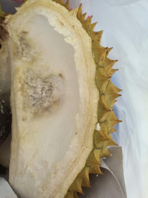 刚买的榴莲,剥开后肉月牙部分有点发灰色,壳子上也可以看到,是不是