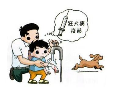 狂犬病的发病原因及表现