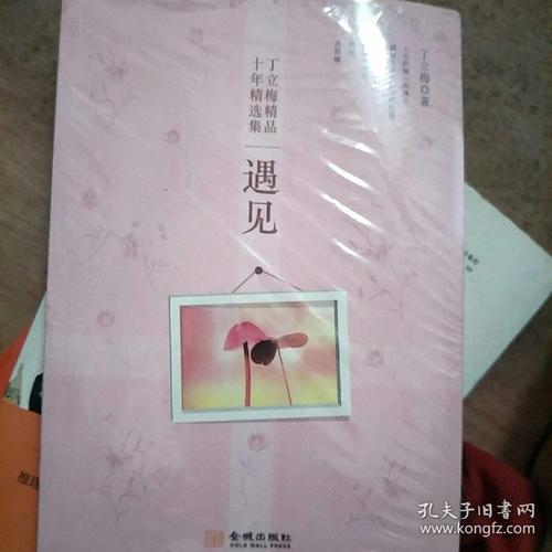 丁立梅作品十年精选集:遇见