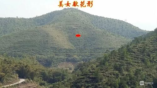          上好的风水宝地,美女出