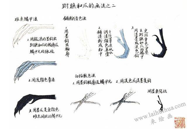 鸟脚的画法