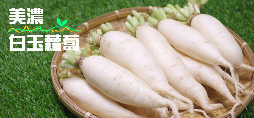 月光山合作社的农友们,不使用除草剂栽培,白玉萝卜美浓早生萝卜