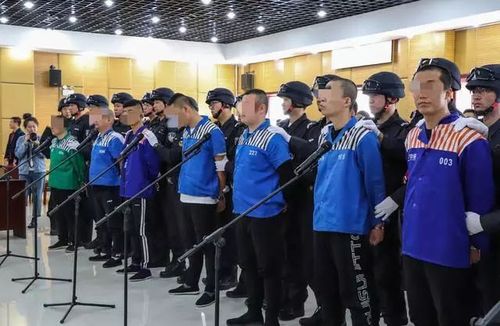 呼和浩特公开宣判一起涉黑涉恶案件,12人获刑