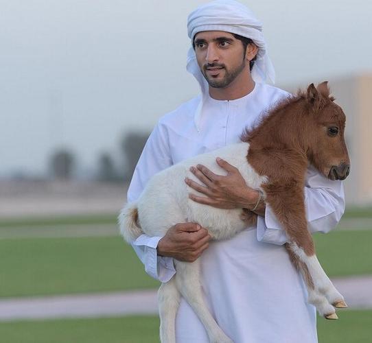 把狮子和鹰当宠物,爱好跳伞潜水,实拍迪拜王子最「壕」生活