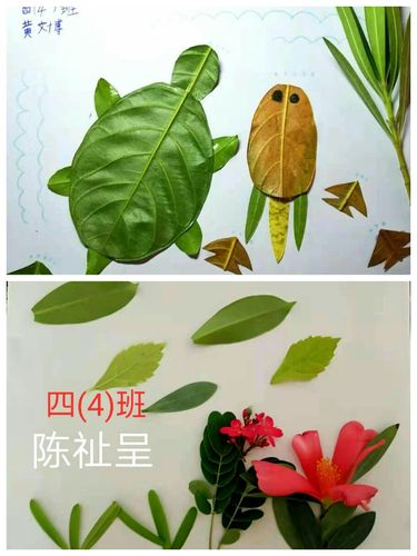 创意的树叶贴画~四年级小小艺术家 - 美篇