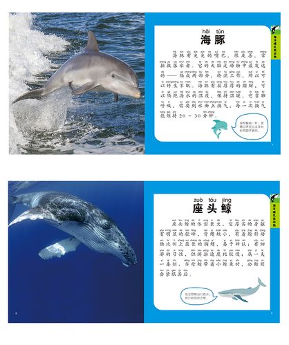 我的第一本:海洋博士小百科