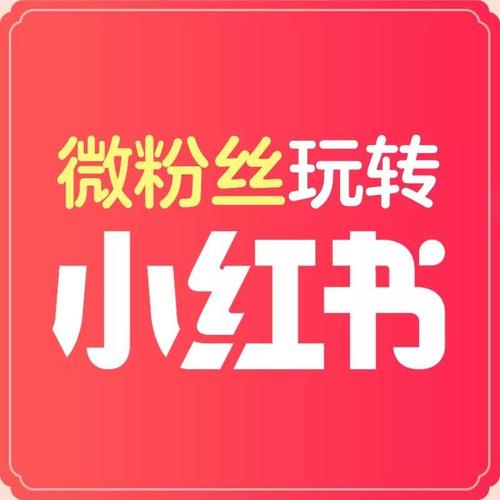 没钱!双十一老金带你玩"赚"小红书!