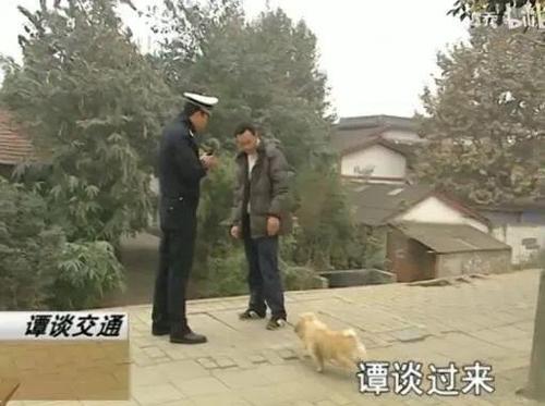 《谭谈交通》,你大爷永远是你大爷