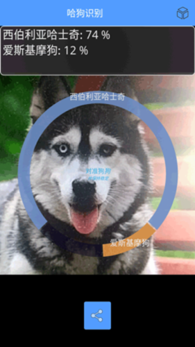 包括拍照识别扫描识别等等,软件更加快捷地给你狗狗品种消息反馈,识别