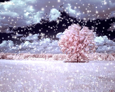 遇见,漫天雪舞|雪峰|白雪|飞雪|飘雪|雪原_网易订阅