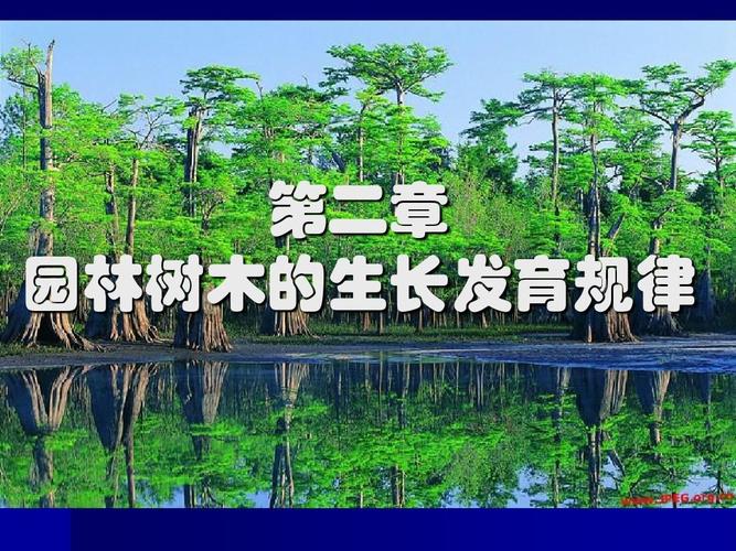 第二章 园林树木的生长发育规律