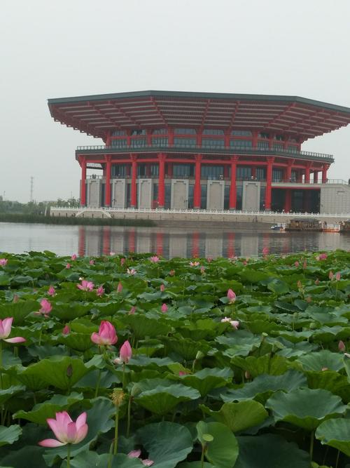 郓城新地标-南湖公园.2020.8.