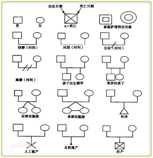 家庭成员健康资料 家系图: 是以符号的形式对家庭结构,成员间关系