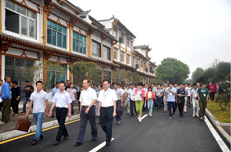 全省边界县口子镇建设现场会在安乡黄山头镇召开
