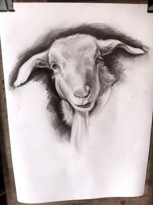 羊年吉祥~ #素描