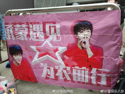 陈立农浙江卫视领跑2019演唱会粉丝场外应援 "承蒙遇见 为农前行"