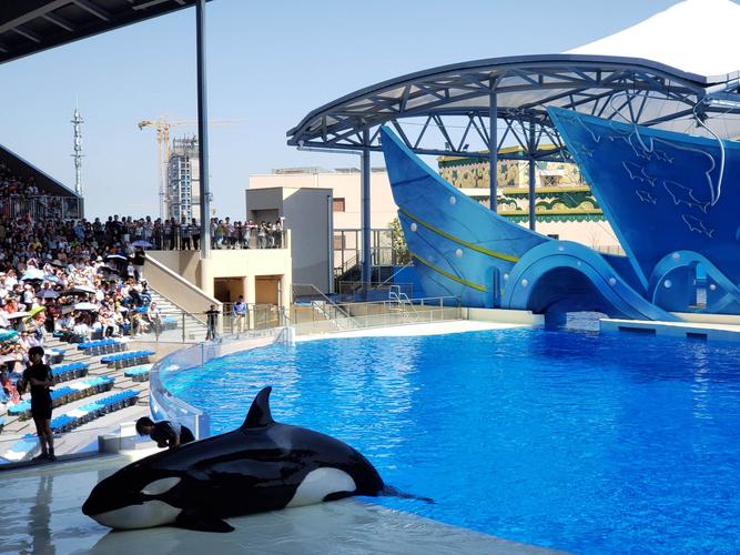 上海海昌海洋公园,松江万达《中国机长》4d,吃饭(小菜园)